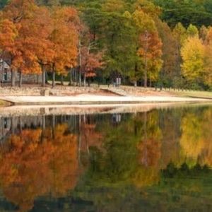 Meet your Posher, Henry